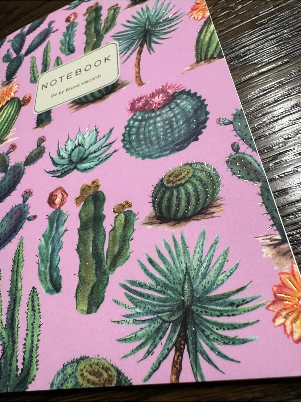 BV by Bruno Visconti A5 Journal Cactus on Rose Gold Foil NEW